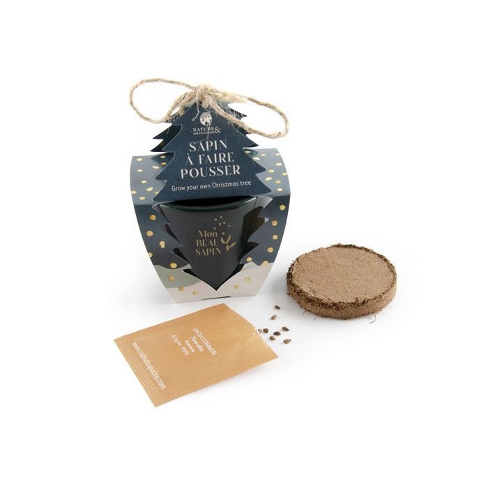 CARTE SAPIN A FAIRE POUSSER