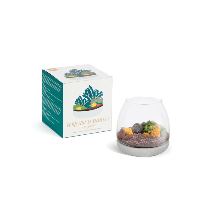 TERRARIUM DIY MIMOSA CIMENT