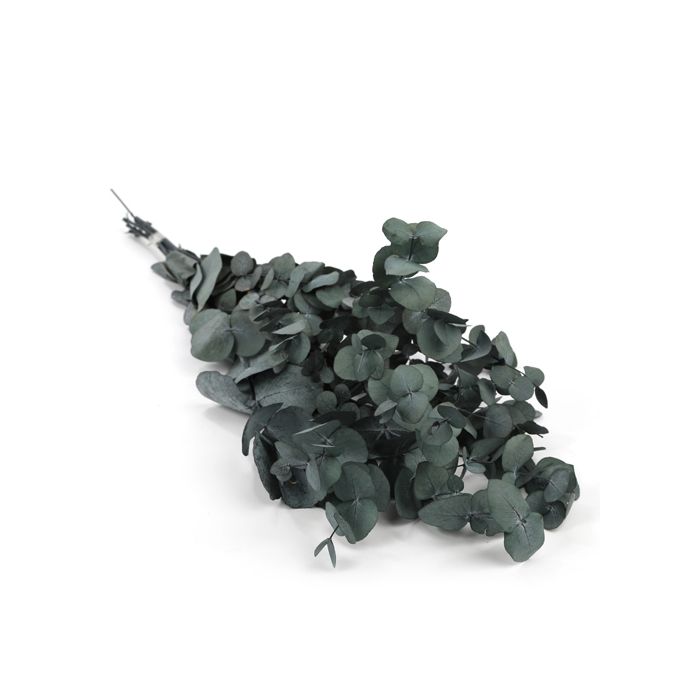 BOTTE EUCALYPTUS STABILISE
