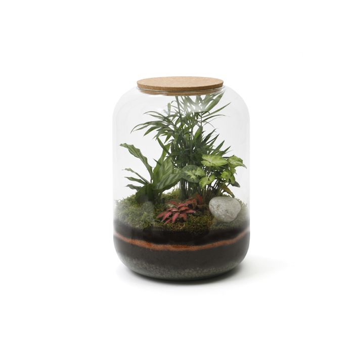 TERRARIUM AUTONOME BOLTON
