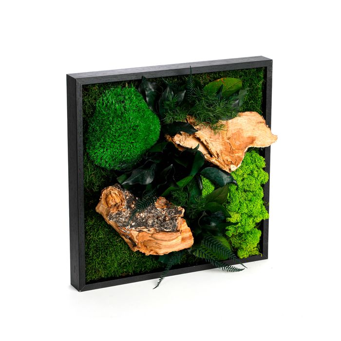 TABLEAU VEGETAL STABILISE CARRE 35CM