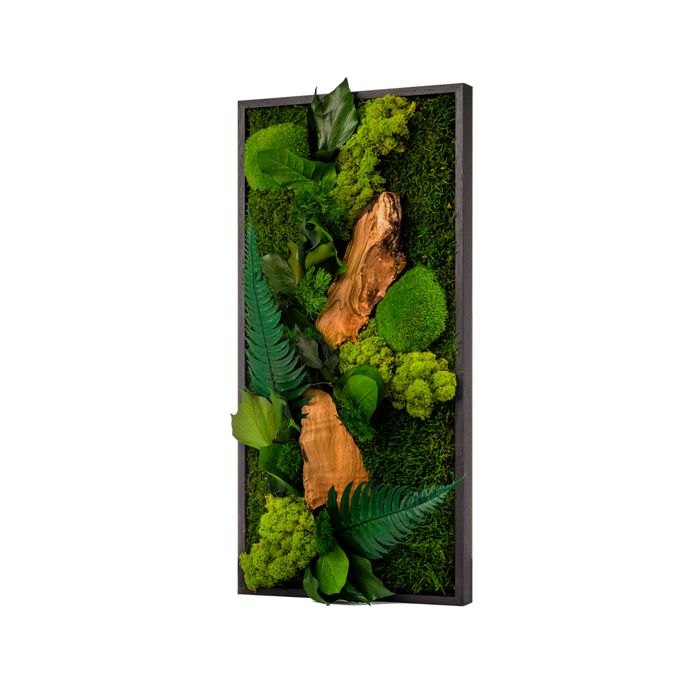 TABLEAU VEGETAL STABILISE RECT.27X57CM