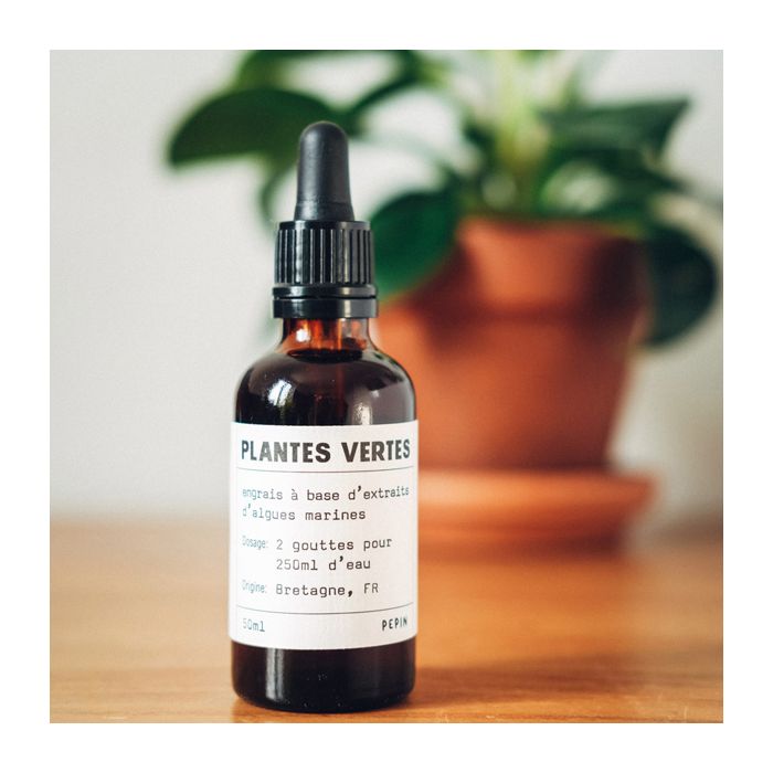 SOIN CONCENTRE PLTES VERTES 50 ML