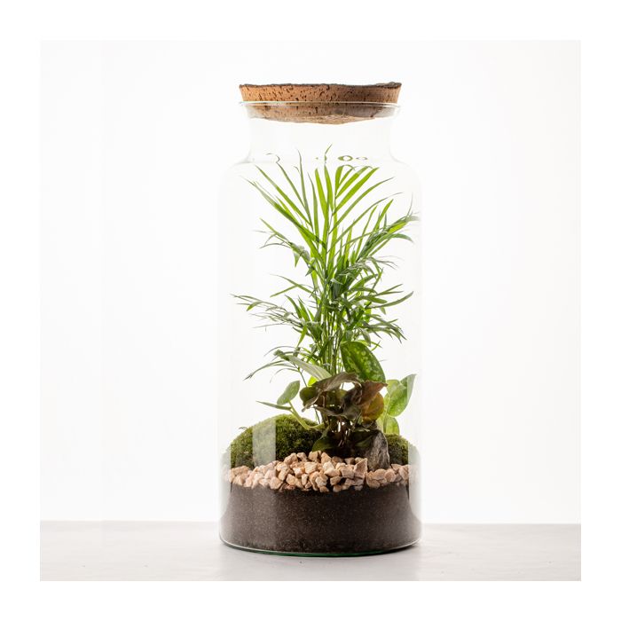 Grand terrarium Lyo • Nature & Découvertes Suisse