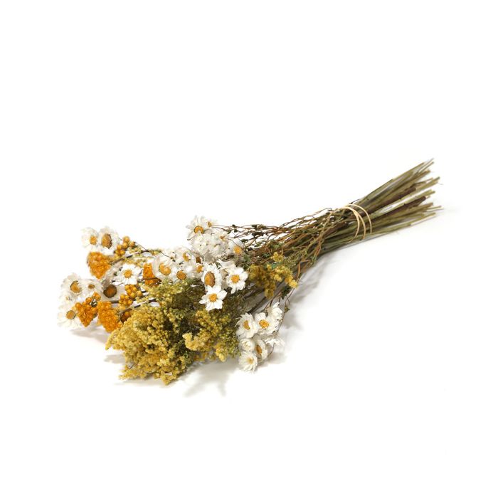 BOUQUET FLEURS SECHEES PETIT JAUNE