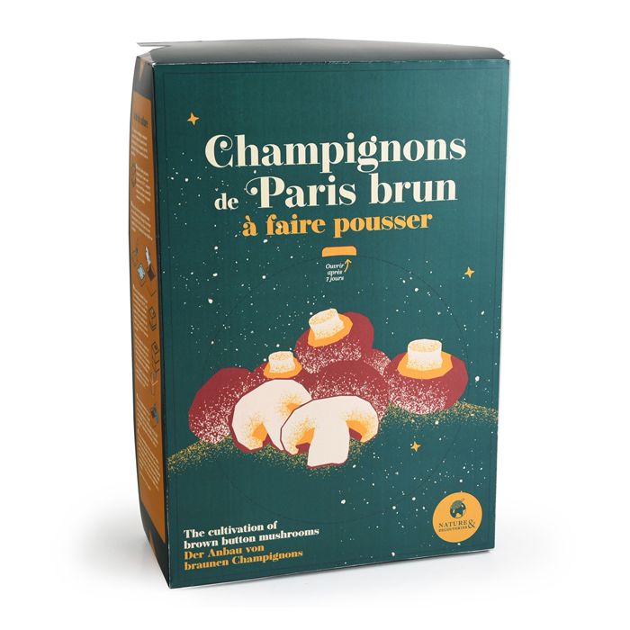 CHAMPIGNONS BRUNS A FAIRE POUSSER 2025