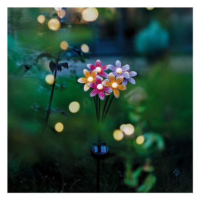 BOUQUET FLEURS SOLAIRE