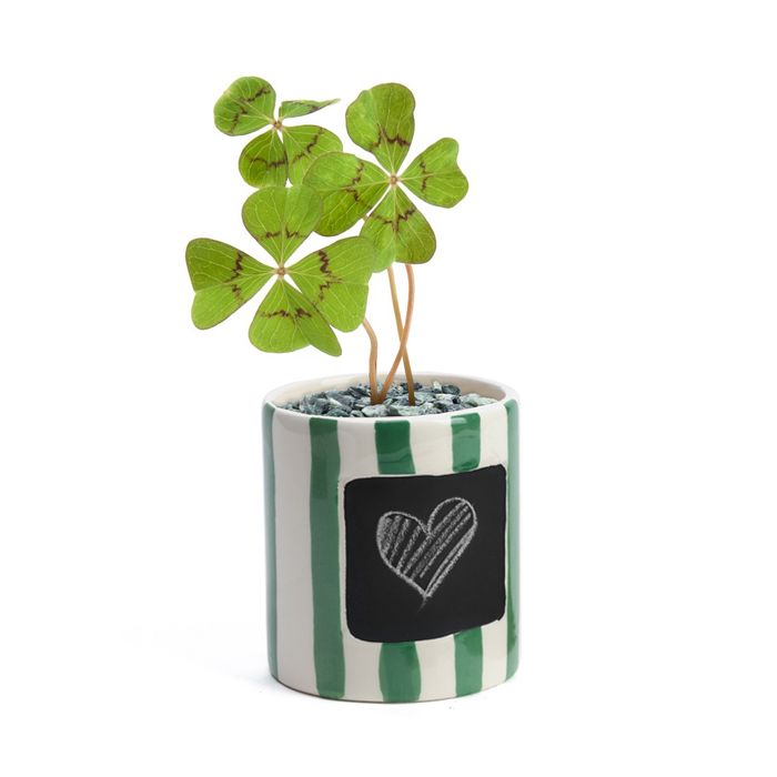 PORTE BONHEUR TREFLES A FAIRE POUSSER