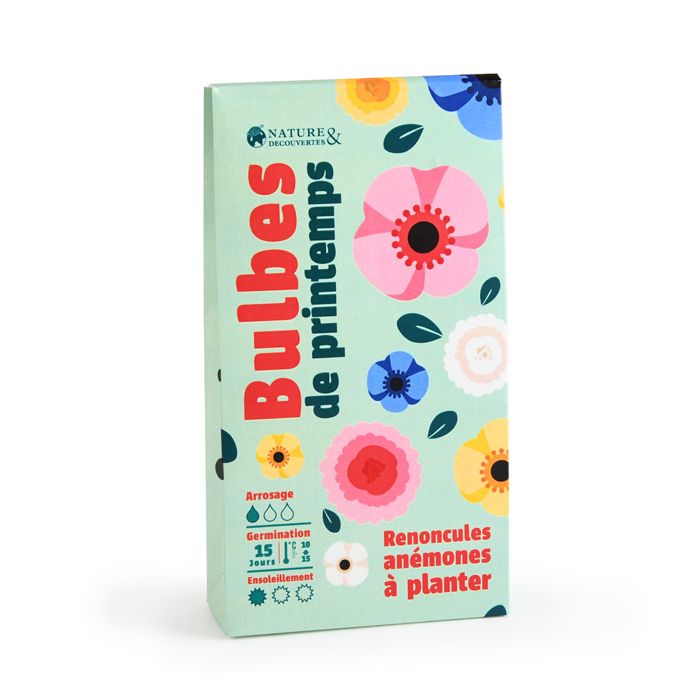 BULBES RENONCULES & ANEMONE