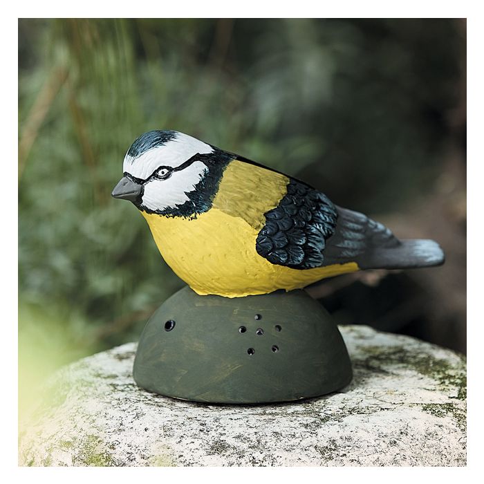 OISEAU DETECTEUR MOUVEMENT SOLAIRE