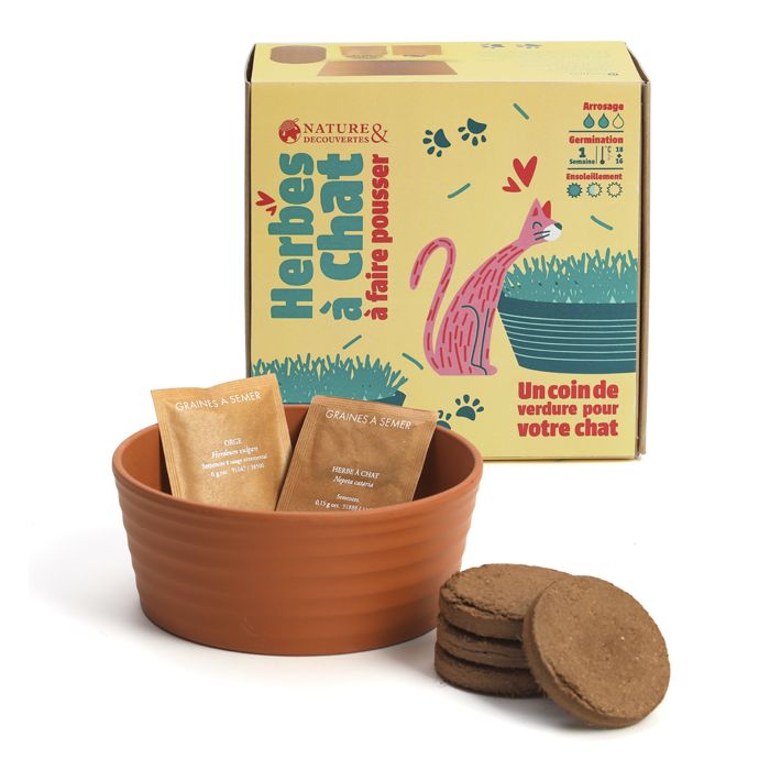 KIT HERBES A CHAT DIY