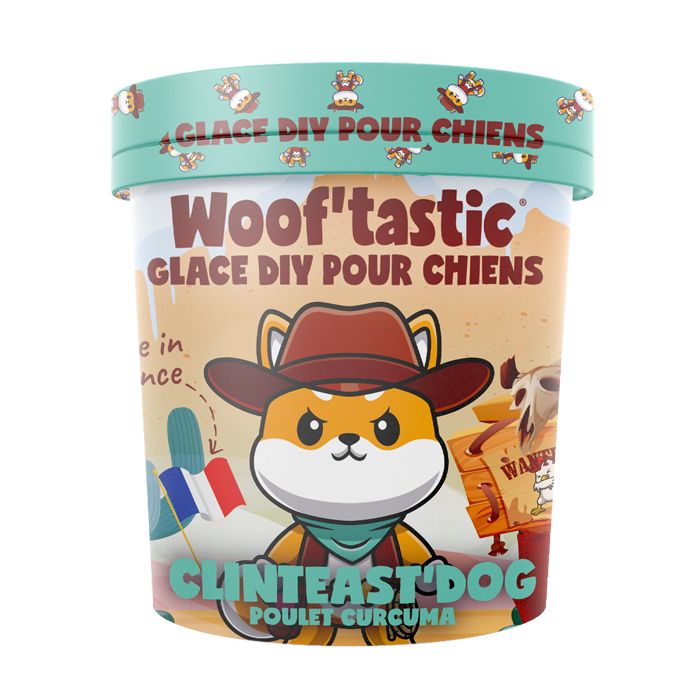 GLACE CHIEN DIY