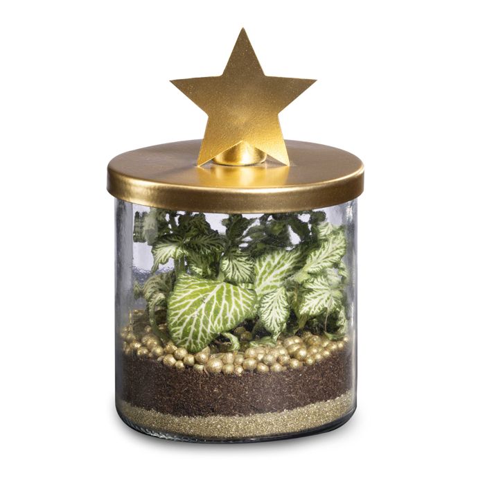 TERRARIUM BOUGEOIR DORE M