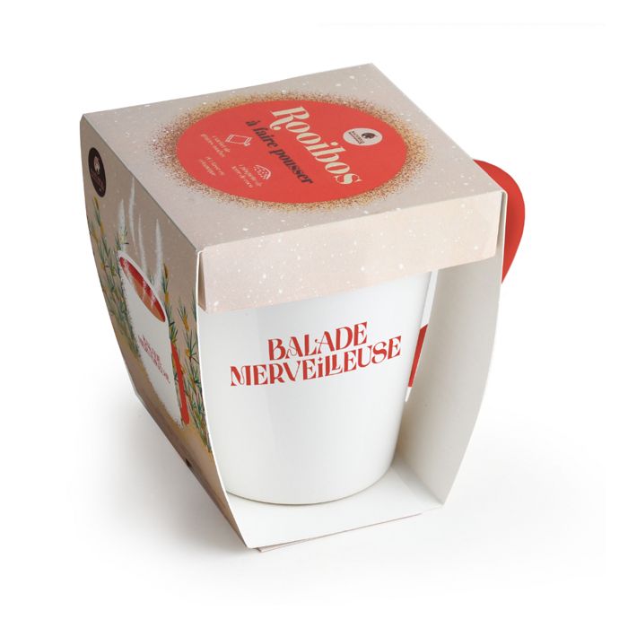 ROIBOS A FAIRE POUSSER + TASSE