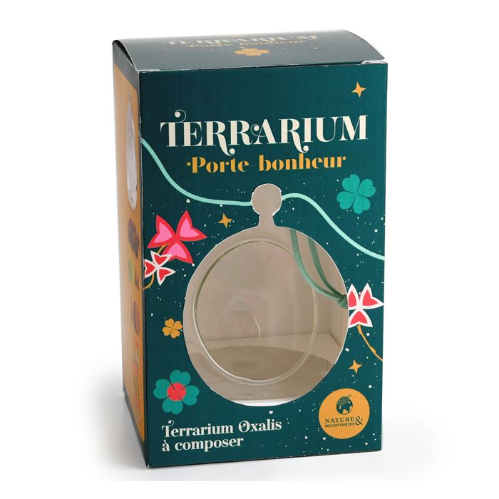 OXALIS TERRARIUM PORTE-BONHEUR NOEL 25