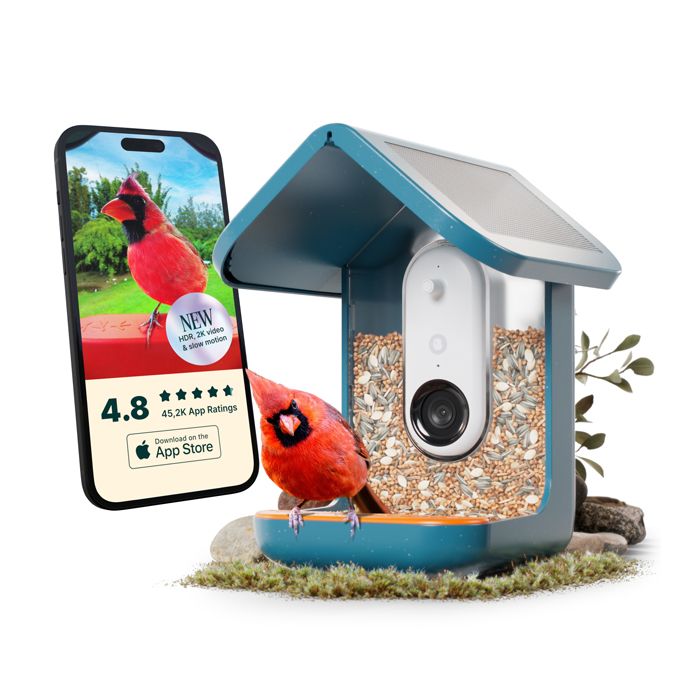 MANGEOIRE CAMERA