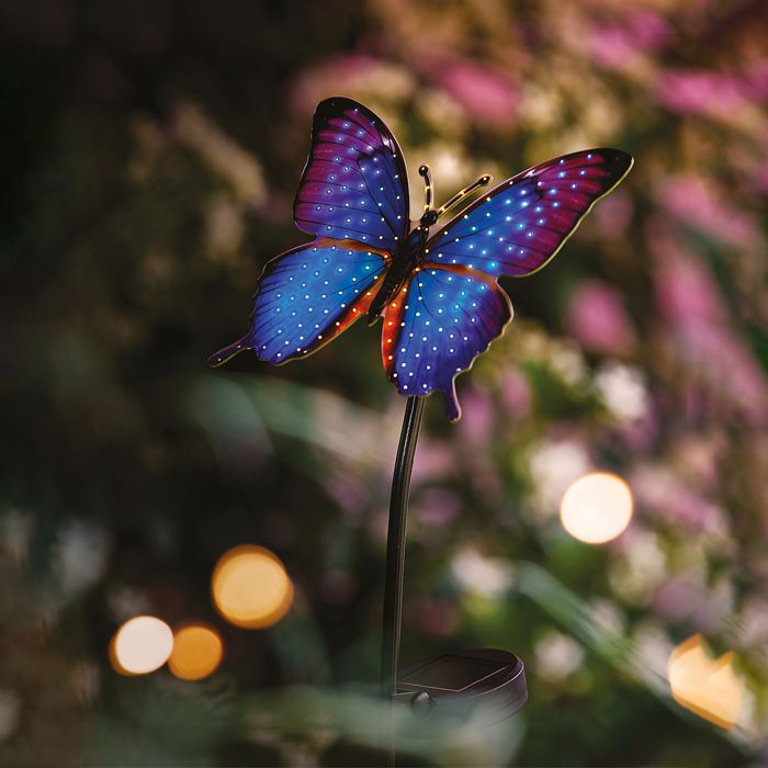 PAPILLON COULEURS SOLAIRE