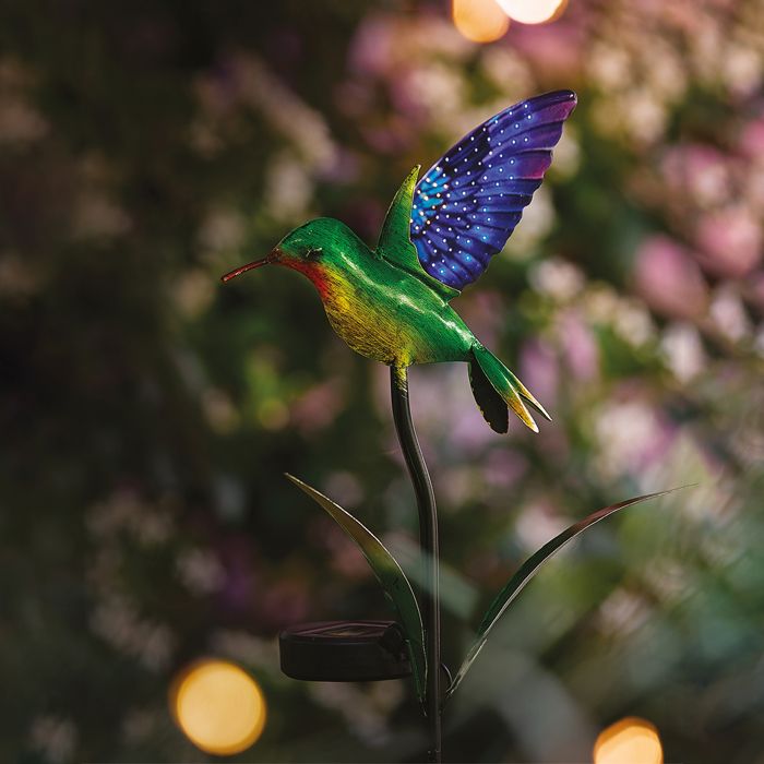 COLIBRI COULEURS SOLAIRE
