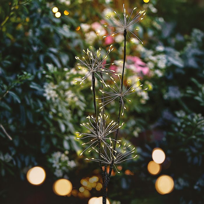 BOUQUET PISSENLIS A PLANTER