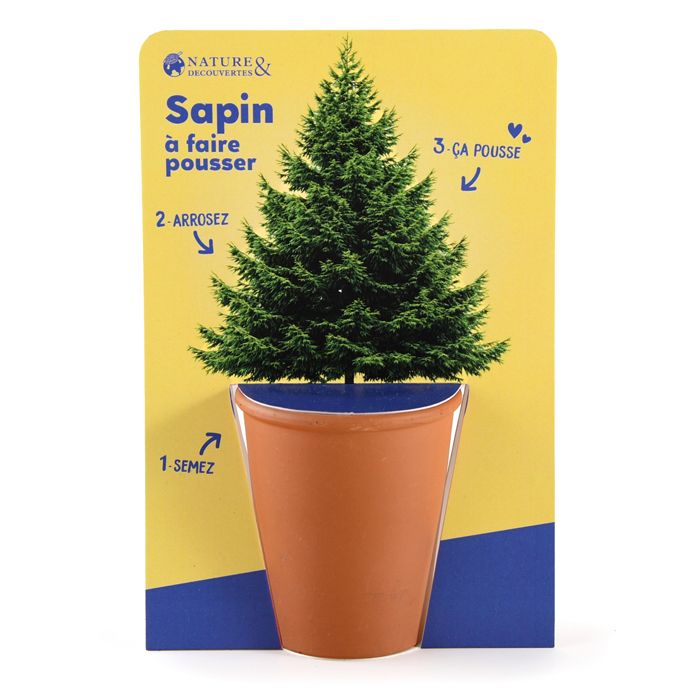 SAPIN A FAIRE POUSSER 2026