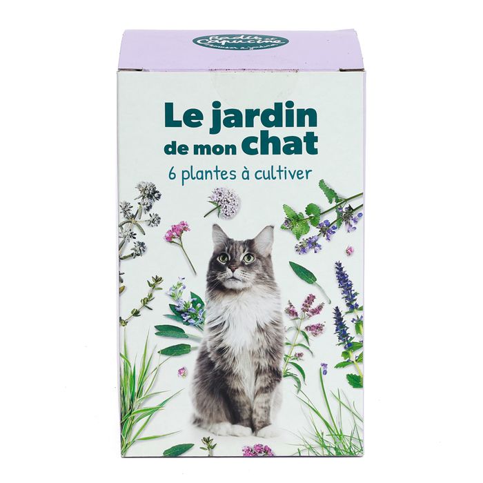 COFFRET 6 PLANTES POUR CHAT