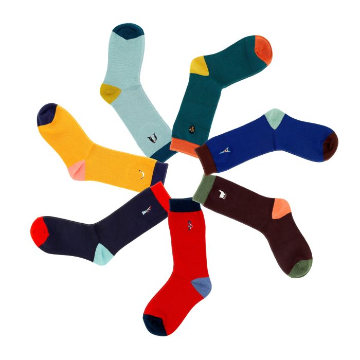 SEMAINIER CHAUSSETTES T.38/41
