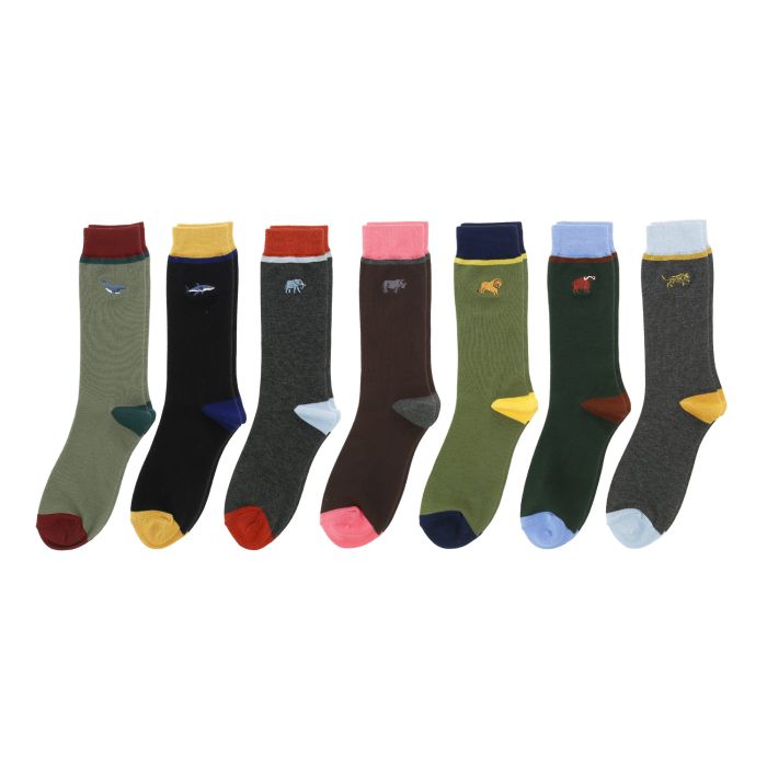 SEMAINIER CHAUSSETTES BIG 7 T.42/45