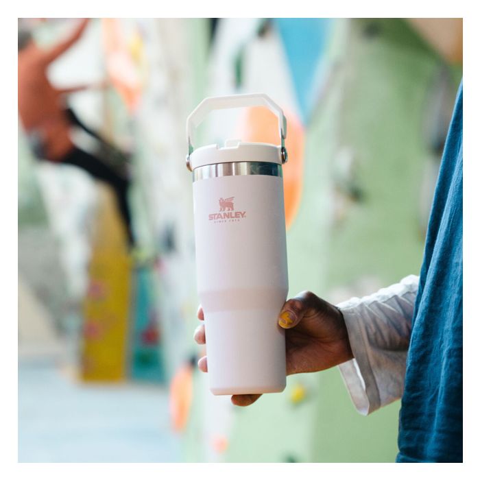 GOURDE FLIP STRAW TUMBLER ROSE STANLEY