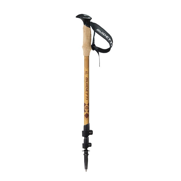 BATON DE MARCHE TERRE DE TREK CARBONE