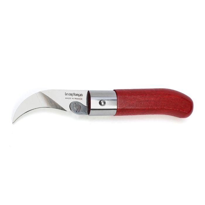 COUTEAU CHAMPIGNON HETRE ROUGE