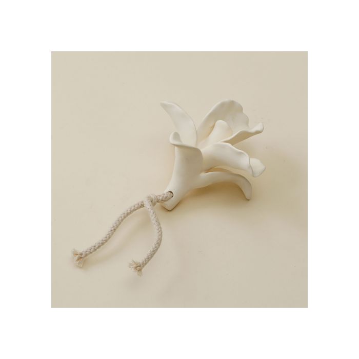 FLEUR 60143520 DIFF ORCHIDEE