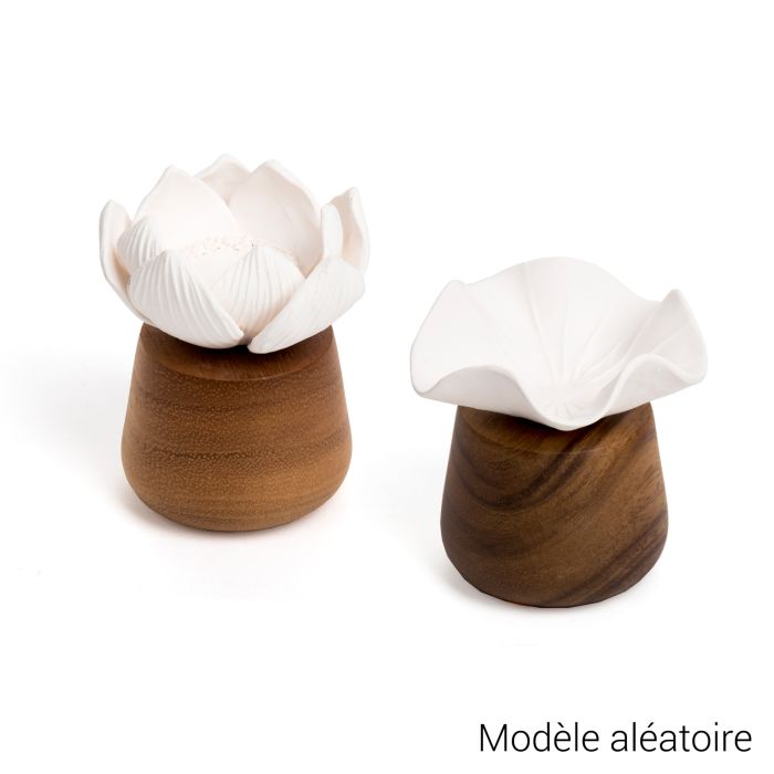 DIFFUSEUR DE PARFUM LOTUS