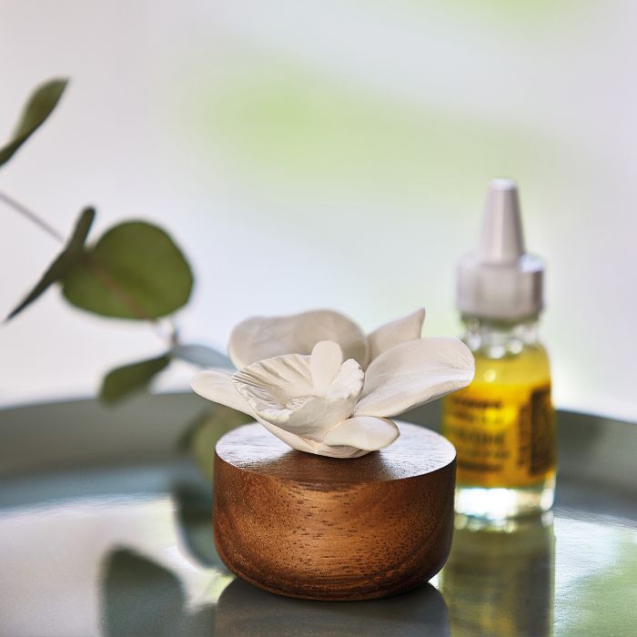 COMBINAISON VEGETALE