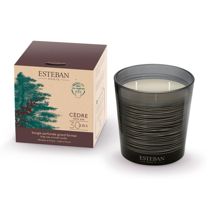 BOUGIE CEDRE 450G