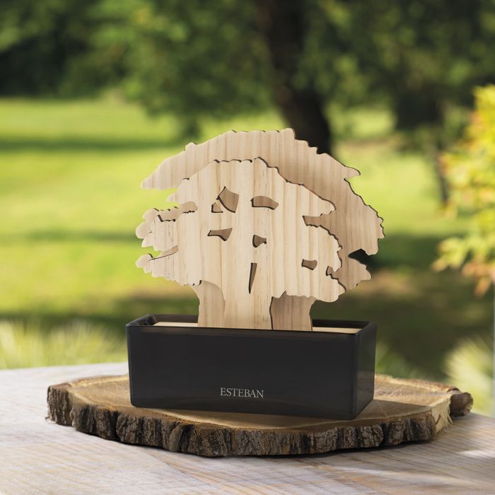 ARBRE A PARFUM ET SA RECHARGE 150ML CEDR