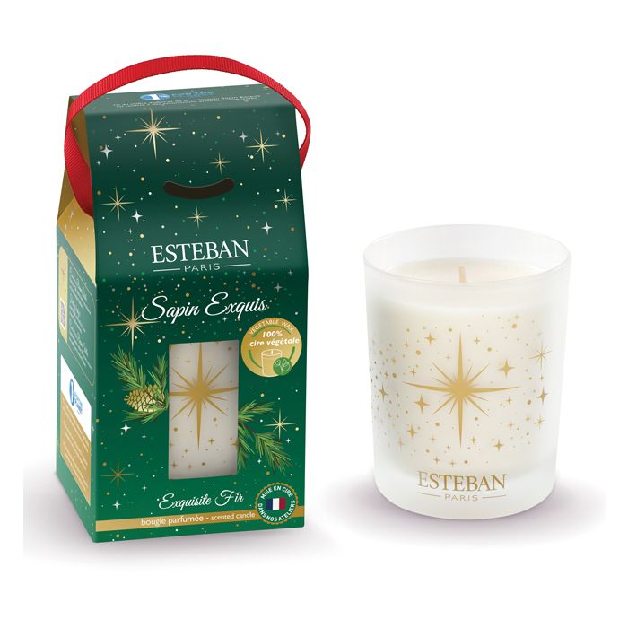 BOUGIE 180G SAPIN EXQUIS