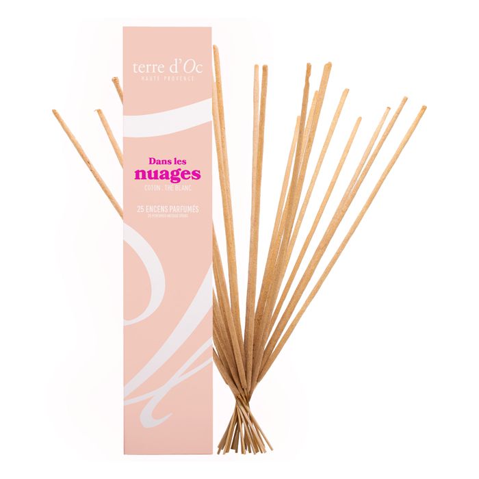 25 BAT DANS LES NUAGES