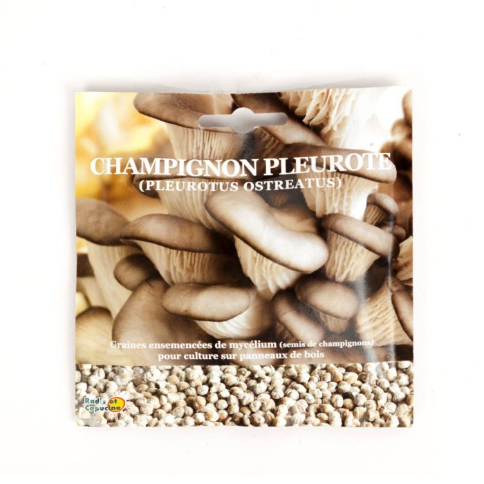 PLEUROTES 40GR RECHARGE