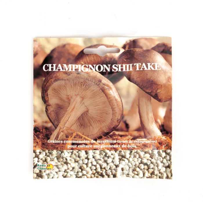 SHITAKE 40GR RECHARGE