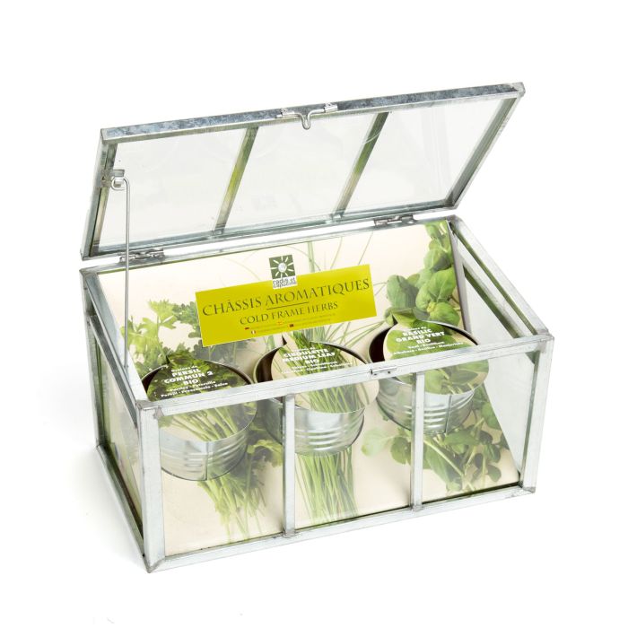 SERRE CHASSIS PLANTES AROMATIQUES