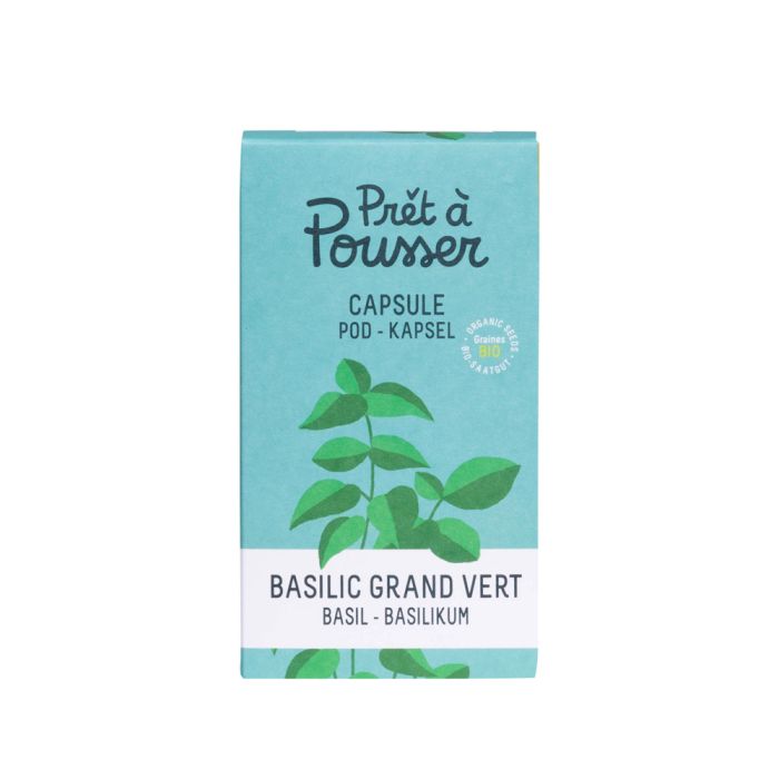 CAPSULE BASILIC GRAND VERT