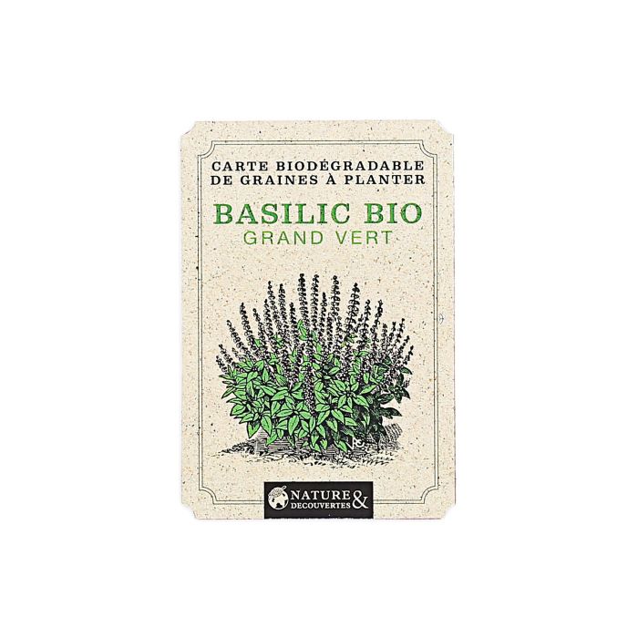 GRAINES BASILIC GRAND VERT BIO