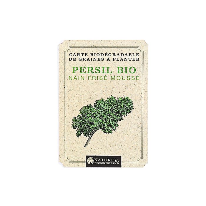GRAINES PERSIL NAIN FRISE MOUSSE BIO