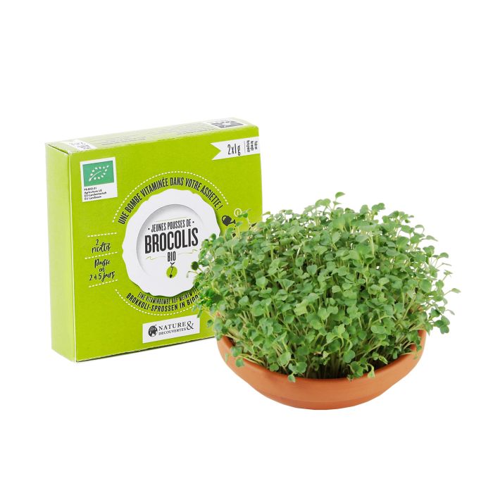 JEUNES POUSSES BROCOLI BIO