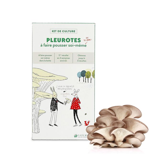 KIT FABRICATION PLEUROTES GRIS 2019