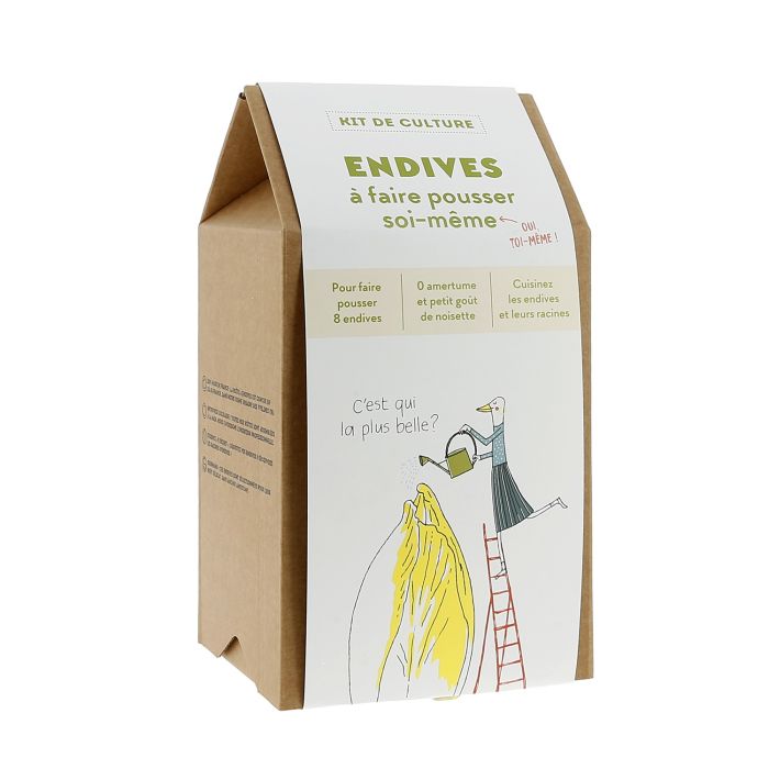 BOITE A ENDIVES DIY