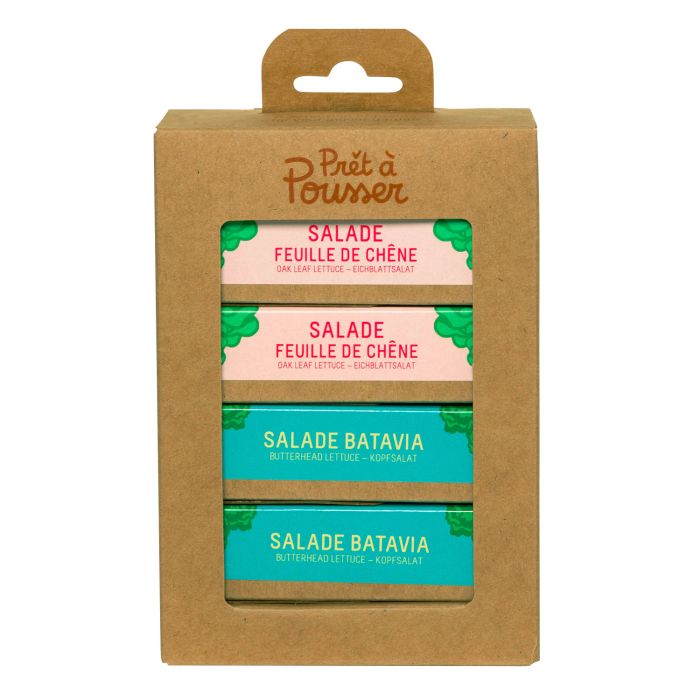 COFFRET CAPSULE 4 SALADES