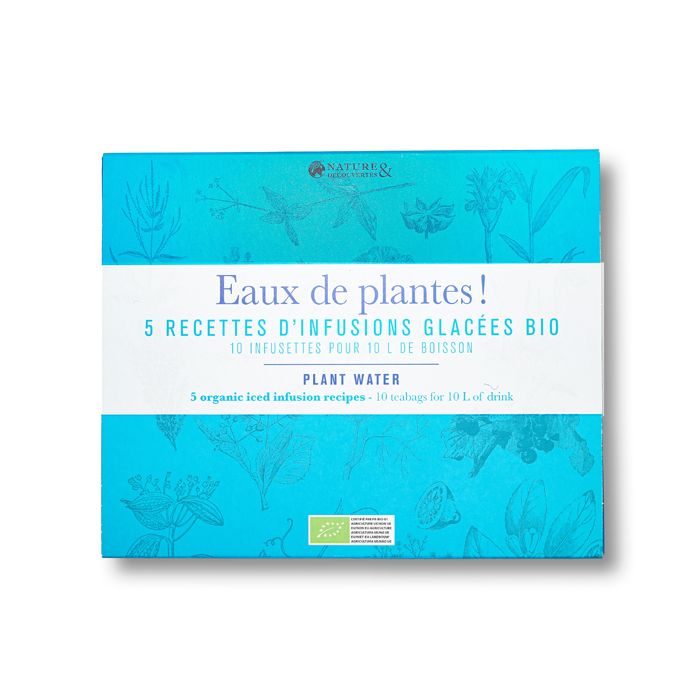 INFUSIONS GLACEES ASSORTI 10 INFUSET BIO