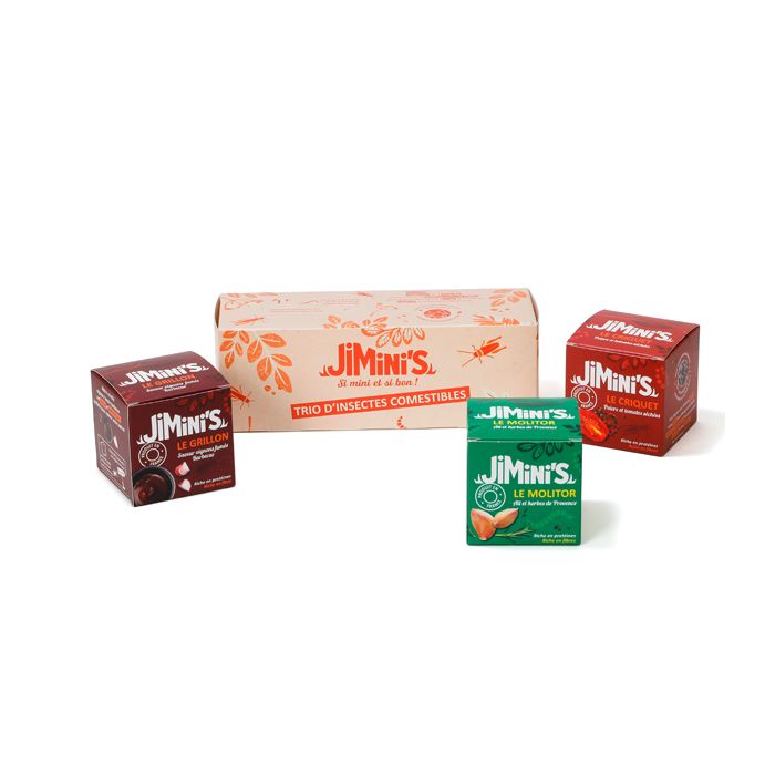 COFFRET TRIO INSECTES