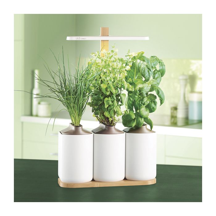LILO CONNECT JARDIN D'INTERIEUR